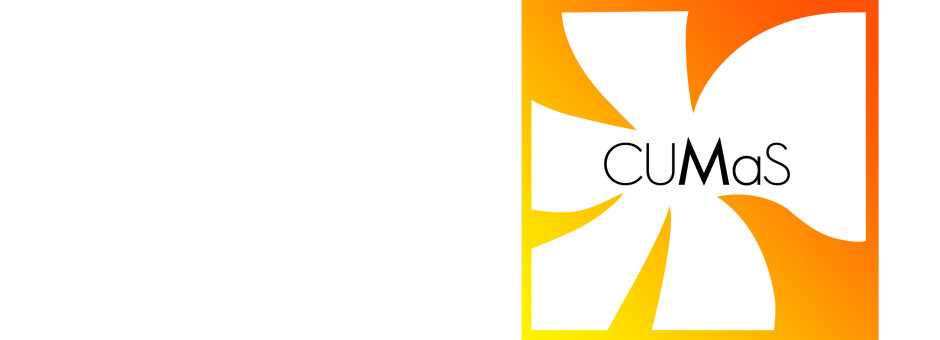 Orange hibiscus logo